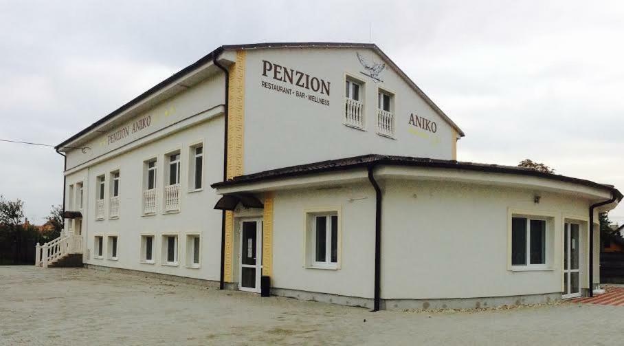 Penzion Aniko Gold *** Horne Saliby Exteriér fotografie