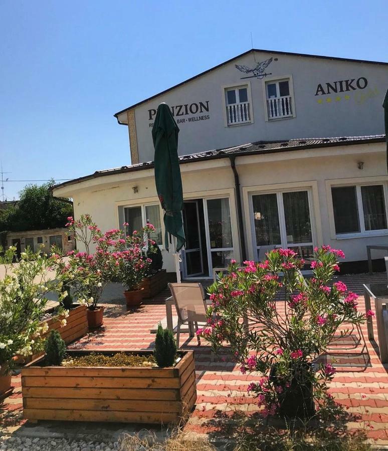 Penzion Aniko Gold *** Horne Saliby Exteriér fotografie